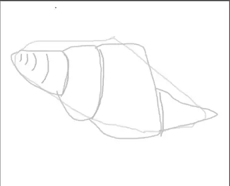 Image titled Drawaconchstep4.png