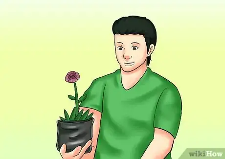 Image titled Cut from a Pansy Plant Step 15