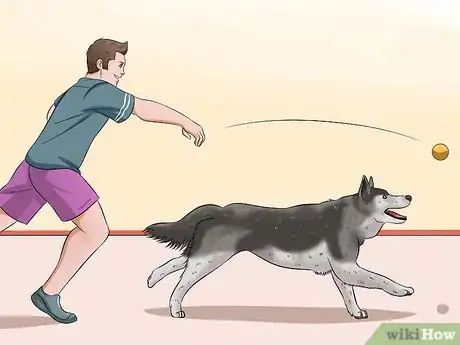 Image titled Teach Your Dog to Speak Step 3