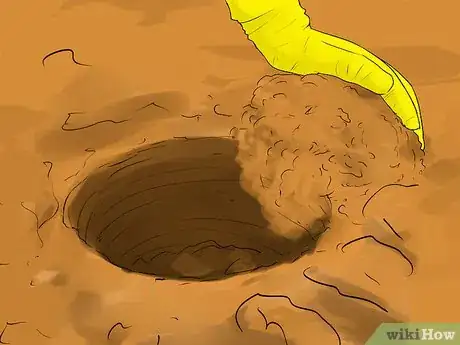 Image titled Grow Cannas Step 7