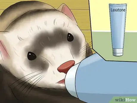Image titled Keep Your Ferret's Hair Healthy Step 2