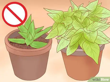 Image titled Be Responsible when You Have a Cat Step 13