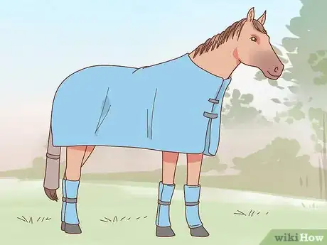 Image titled Transport a Horse Step 6
