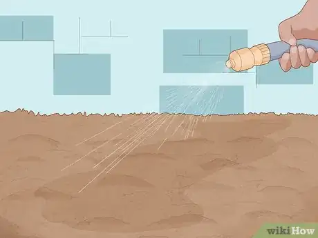 Image titled Grow Horehound Step 7