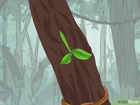 Image titled Grow Mistletoe Step 5
