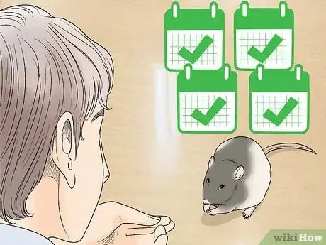 Image titled Choose a Vet for Your Pet Rat Step 10