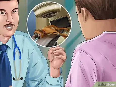 Image titled Treat Prostate Disease in Intact Male Dogs Step 11