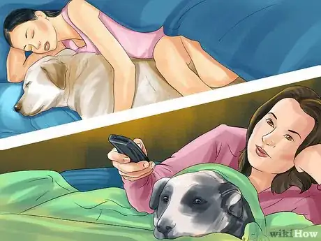 Image titled Show Affection to an Older Dog Step 2