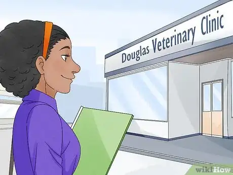 Image titled Become an Equine Physiotherapist Step 9