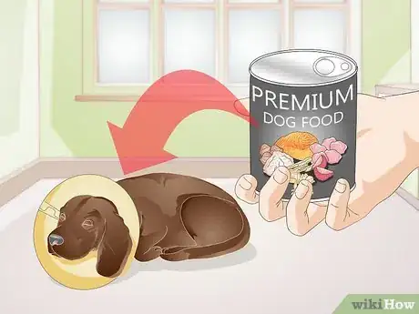 Image titled Choose Between Dry or Canned Dog Food Step 6