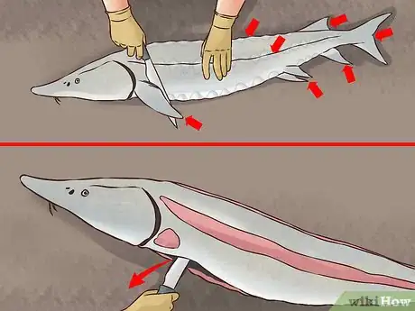 Image titled Smoke Sturgeon Step 2