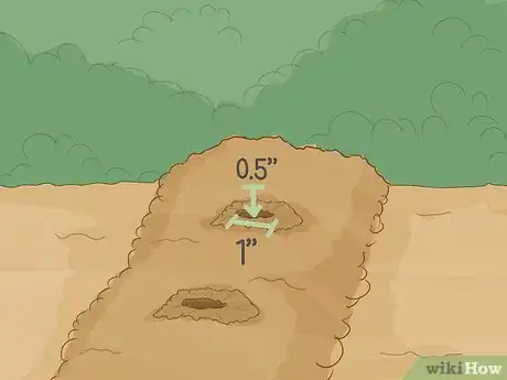 Image titled Plant Cotton Seeds Step 8