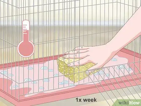 Image titled House a Canary Step 15