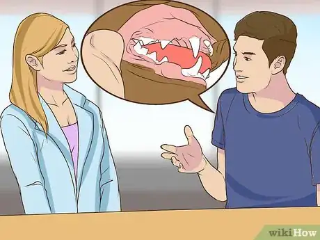 Image titled Watch for Common Senior Cat Health Issues Step 11