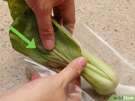 Image titled Clean Bok Choy Step 10