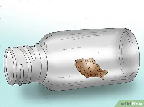 Image titled Make Cat Toys Step 13.jpeg