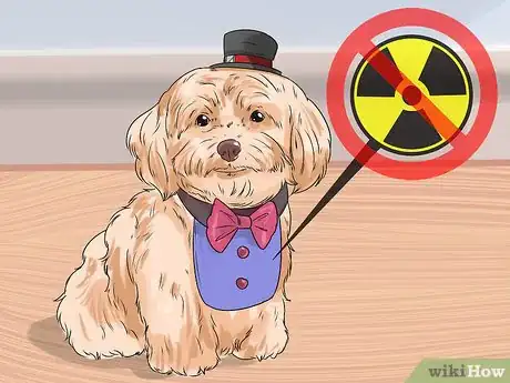 Image titled Get a Dog Ready for a Special Occasion Step 7