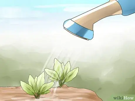 Image titled Choose the Best Time for Watering the Garden Step 1