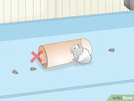 Image titled Train a Hamster to Run Through Tunnels Step 6