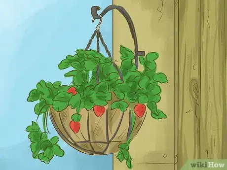 Image titled Choose Outdoor Hanging Plants Step 3
