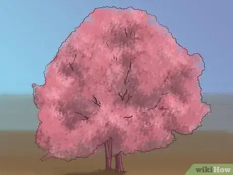 Image titled Buy an Oak Tree Step 8