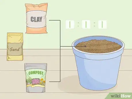 Image titled Grow Licorice Root Step 8