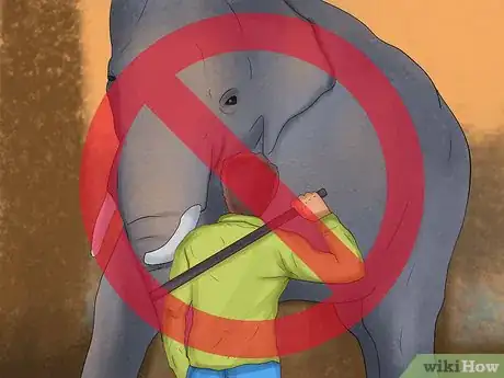 Image titled Help Save Elephants Step 12