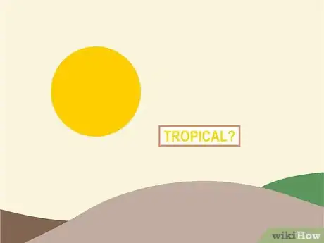 Image titled Grow Lanzones Step 7