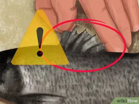 Image titled Hold a Fish Step 7