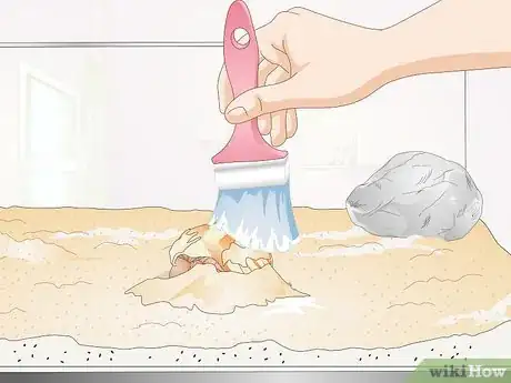 Image titled Hold a Hermit Crab Step 8