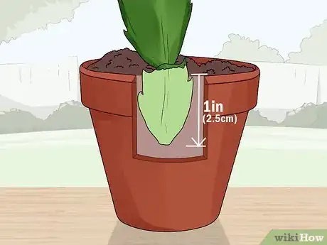 Image titled Plant a Christmas Cactus Step 6