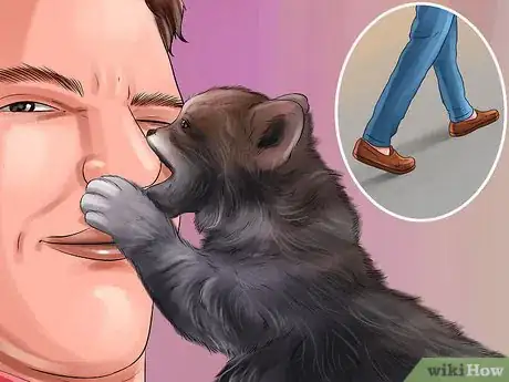 Image titled Teach a Kitten to Play Nice Step 7