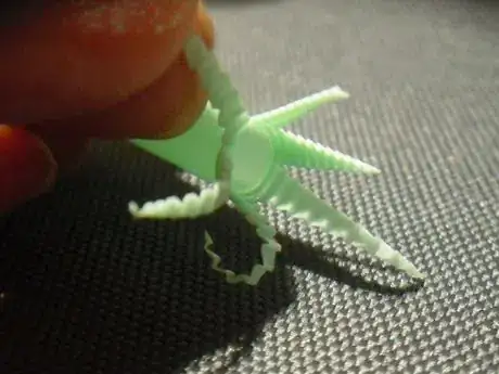 Image titled Nf3_836.JPG