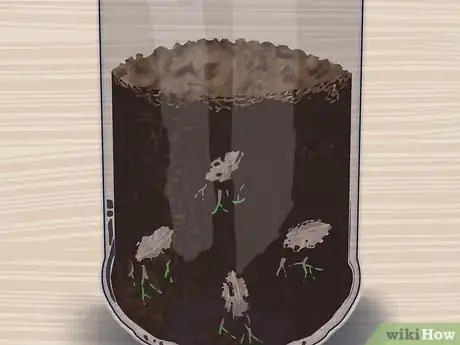 Image titled Plant a Plum Seed Step 16