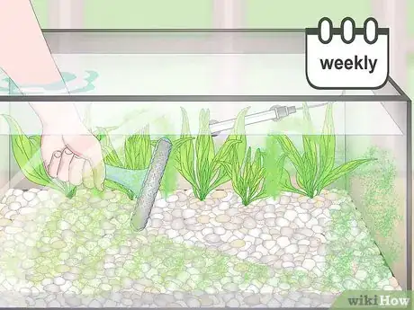 Image titled Set up a Planted Goldfish Aquarium Step 20