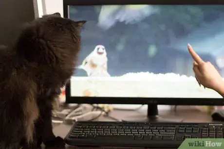 Image titled Test Your Cat's Intelligence Step 4