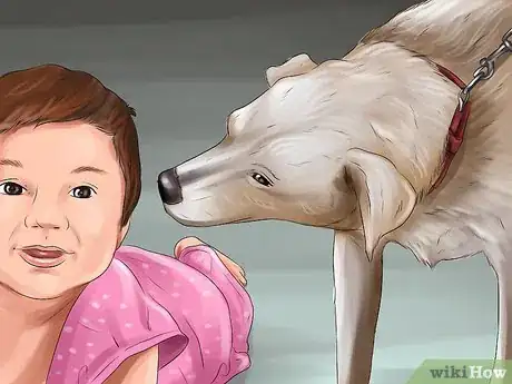 Image titled Introduce a Dog to a New Family Member Step 13