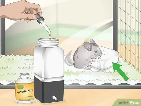 Image titled Supplement Nutrients in Your Chinchilla's Diet Step 9