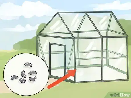 Image titled Prune Helleborus Winter Roses Step 7