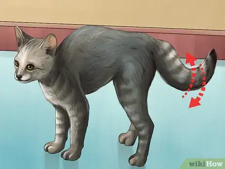 Image titled Teach a Kitten to Play Nice Step 6