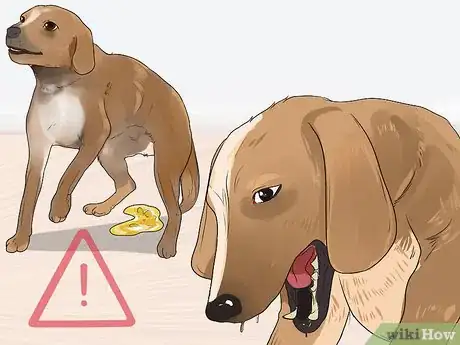 Image titled Prevent an Older Dog from Overheating Step 2