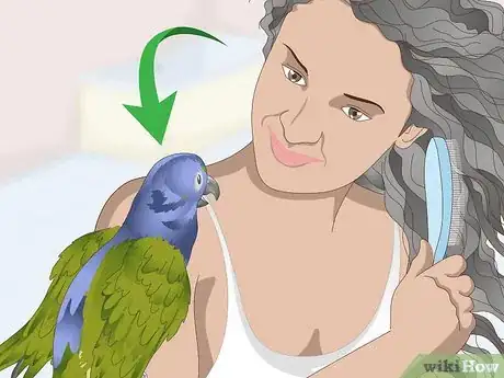 Image titled Keep a Pionus Parrot Entertained Step 8
