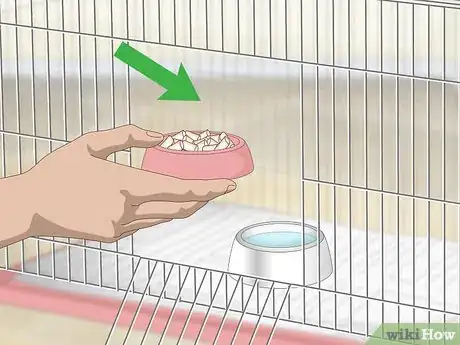 Image titled House a Canary Step 11