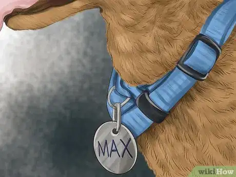 Image titled Care for Your Dog on the Beach Step 7