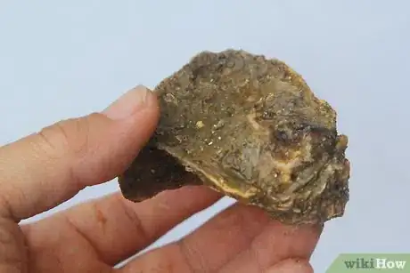 Image titled Fry Oysters Step 3