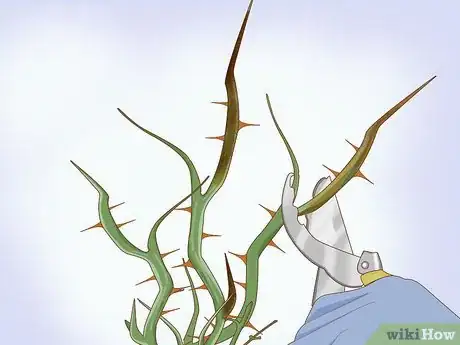 Image titled Plant Bare Root Roses Step 5