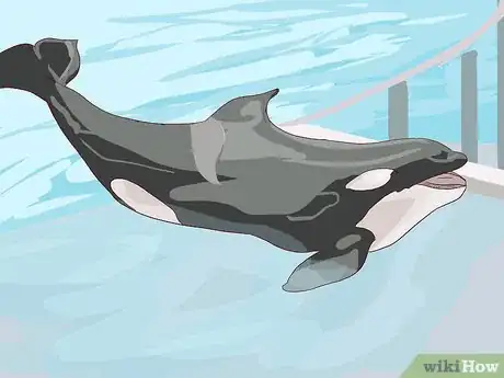 Image titled Visit SeaWorld San Diego Step 7