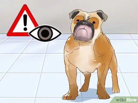 Image titled Cope With Canine Epilepsy Step 1