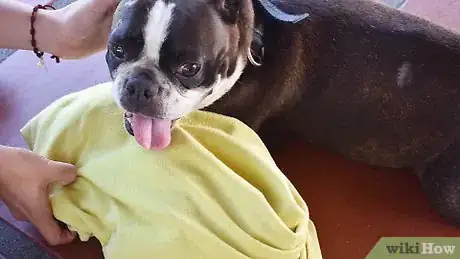 Image titled Treat a New Dog Step 4