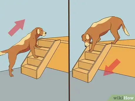 Image titled Have Fun with Your Dog Indoors Step 3